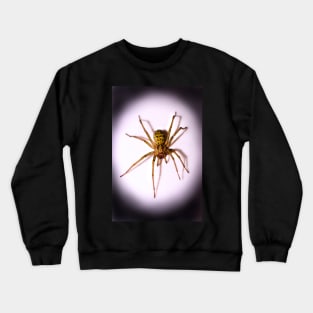 Intruder Crewneck Sweatshirt